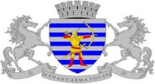 Stema Bălțiului - Wikipedia